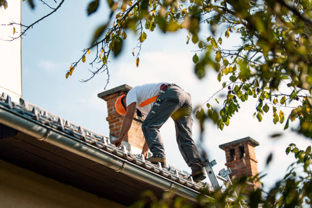 Best Flat Roof Repair Services  in Emmitsburg, MD